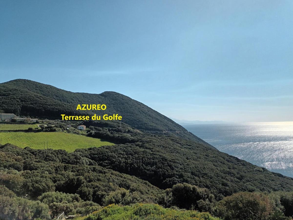 Azureo - Terrasse Du Golfe Villa Morsiglia Bagian luar foto