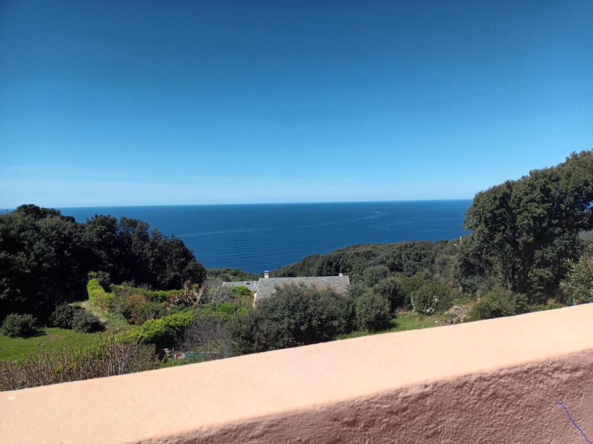 Azureo - Terrasse Du Golfe Villa Morsiglia Bagian luar foto
